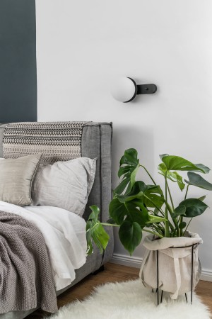 Lampa sufitowa / kinkiet Kuul D1 z włącznikiem