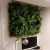Panel ze sztucznych roślin RAINFOREST GD112