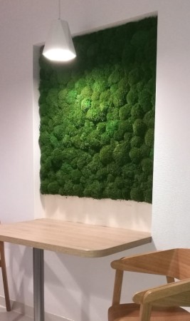 Panel ścienny Mech Poduszkowy