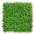 GD216_WIELOMLECZ_50x50.jpg