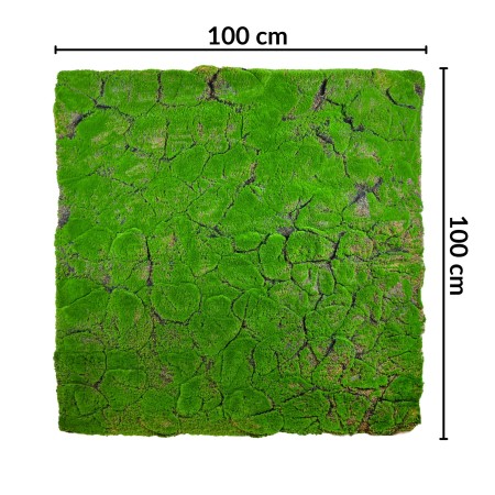 Sztuczny mech Torfowiec mata 100x100 cm