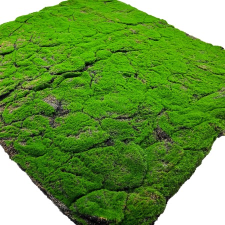 Sztuczny mech Torfowiec mata 100x100 cm