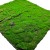 Sztuczny mech Torfowiec mata 100x100 cm