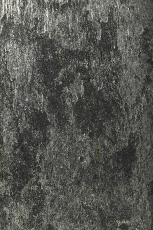 Fornir kamienny Silver Shine - detale