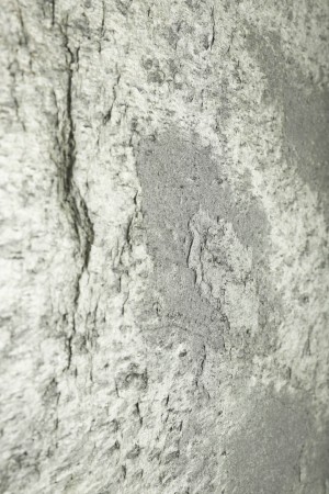 Fornir kamienny Silver Shine - detale