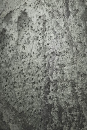 Fornir kamienny Silver Grey  - detale