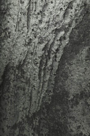 Fornir kamienny Silver Grey  - detale