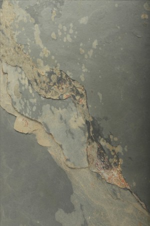 Fornir kamienny Autumn Rustic