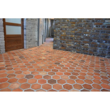 plytki-tarasowe-podlogowe-stara-cegla-heksagon-maly-gr-15-mm.html