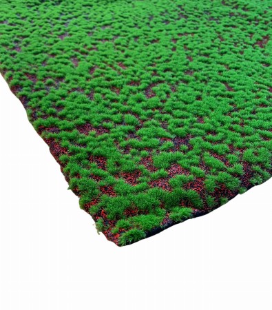 Sztuczny mech Ozdobny mata 100x100 cm