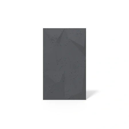pol_pl_Plyta-betonowa-3D-PB07-1200x600x45-czarny-B15-5403_1.webp