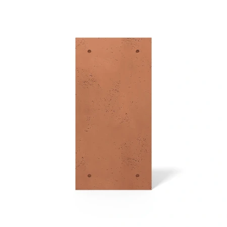 pol_pl_Plyta-betonowa-3D-PB30-1200x600x20-terakota-CL01-5691_1.webp